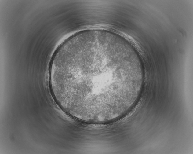 X0000112021184200908311148