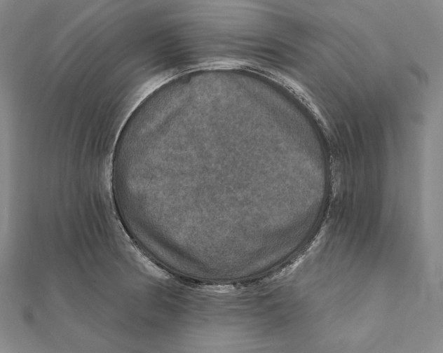 X0000112021186200908311148