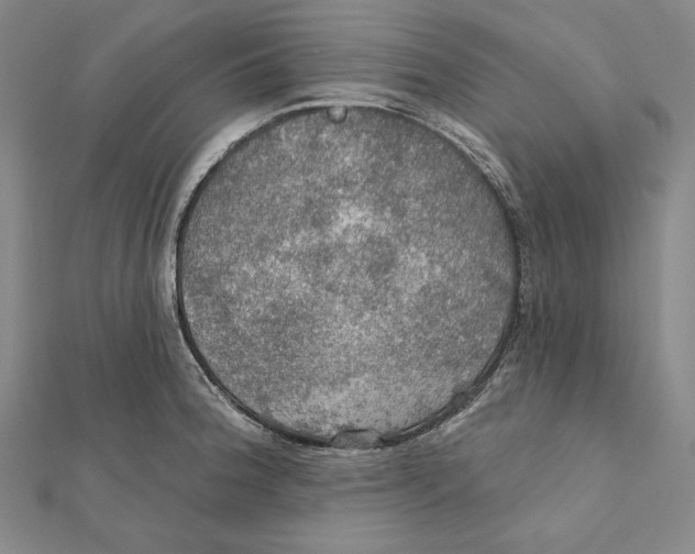 X0000112021188200908311148