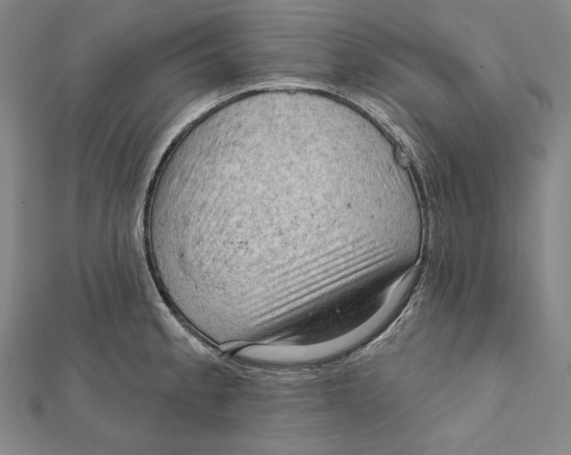 X0000112021189200908311148