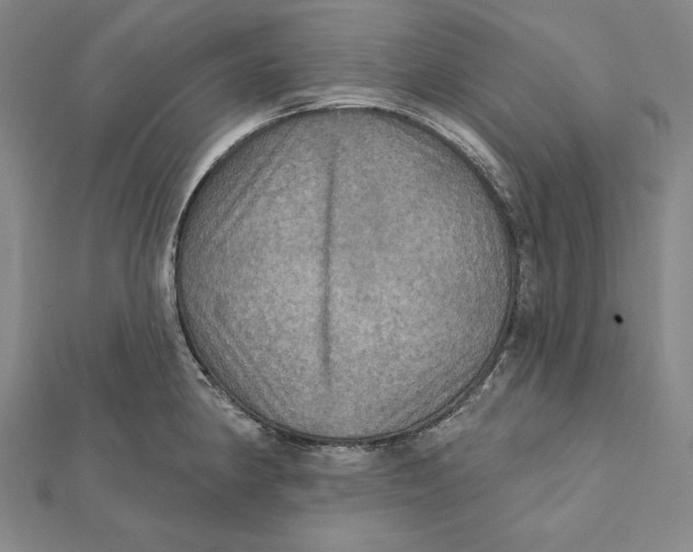 X0000112021190200908311148