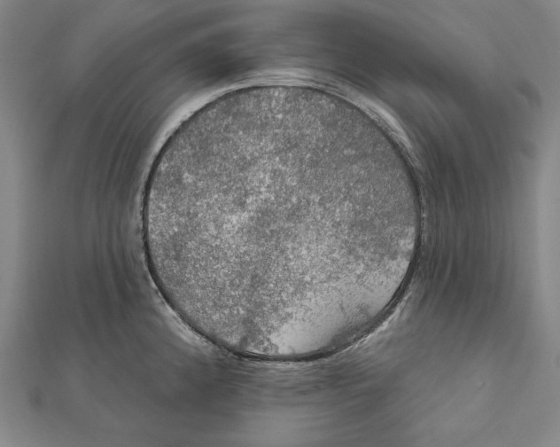 X0000112021192200908311148