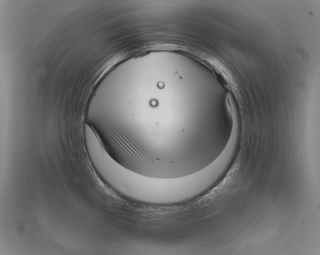 X0000112021193200908311148