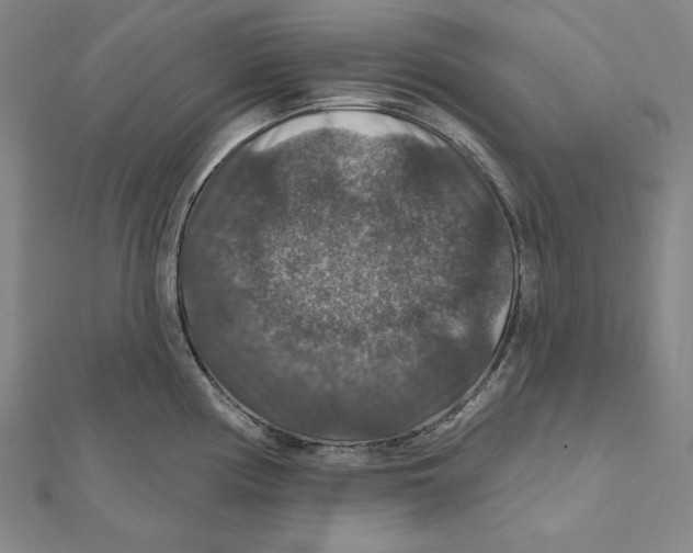 X0000112021194200908311148