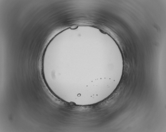 X0000112021195200908311148