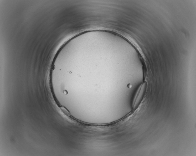 X0000112021197200908311148