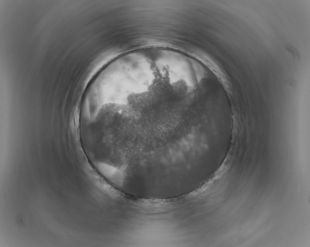 X0000112021198200908311148