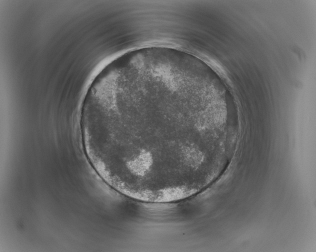 X0000112021200200908311148