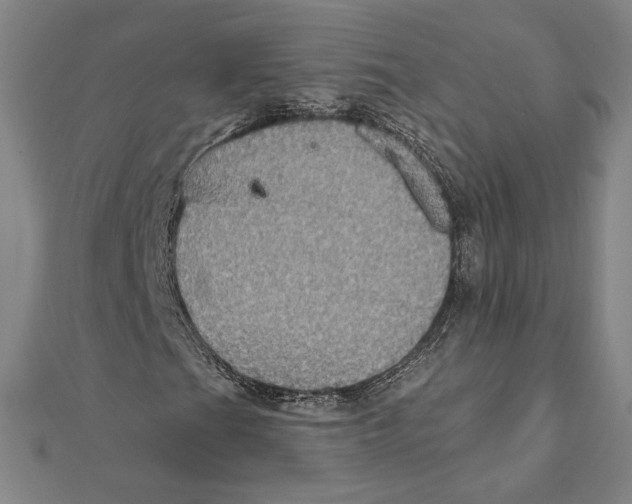 X0000112021201200908311147