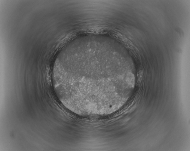 X0000112021202200908311147