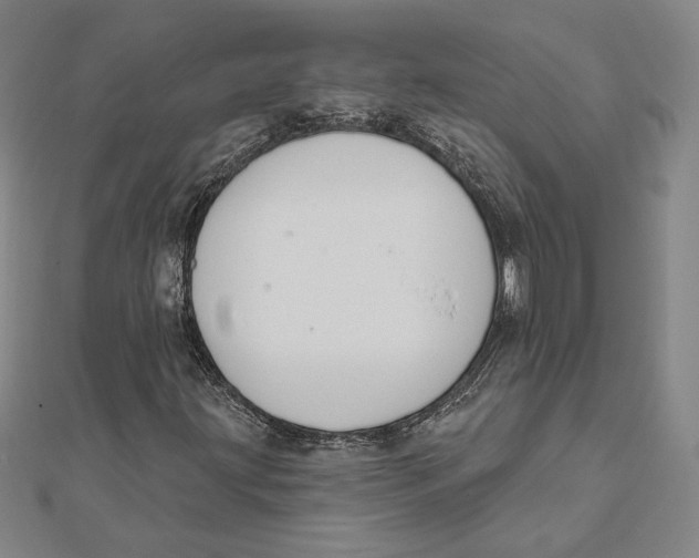 X0000112021203200908311147