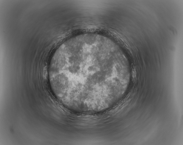 X0000112021204200908311147