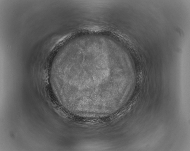 X0000112021205200908311147