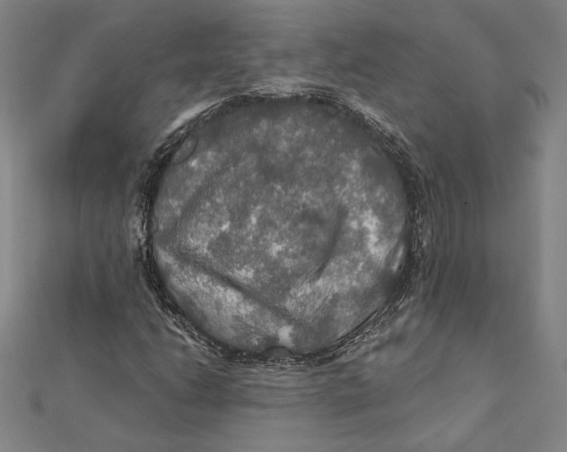 X0000112021206200908311147