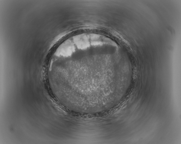 X0000112021208200908311147