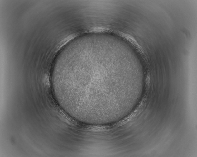 X0000112021209200908311147