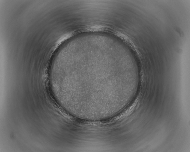 X0000112021210200908311147