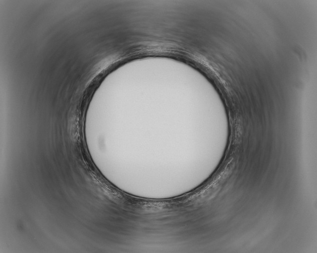 X0000112021211200908311147