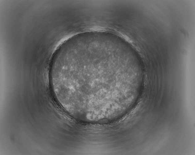 X0000112021214200908311148