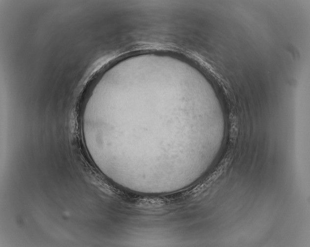 X0000112021215200908311148