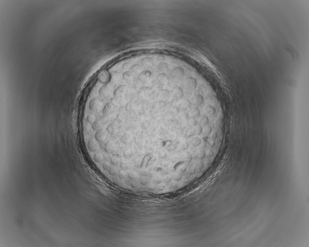 X0000112021216200908311148