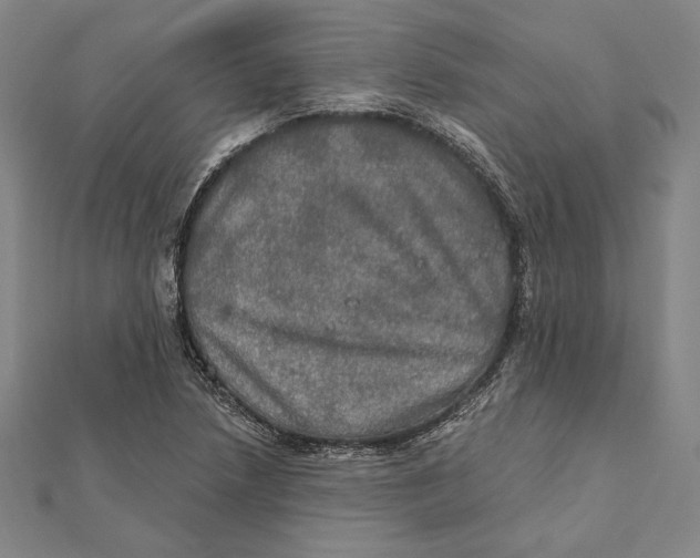 X0000112021218200908311148