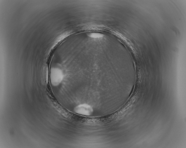 X0000112021219200908311148