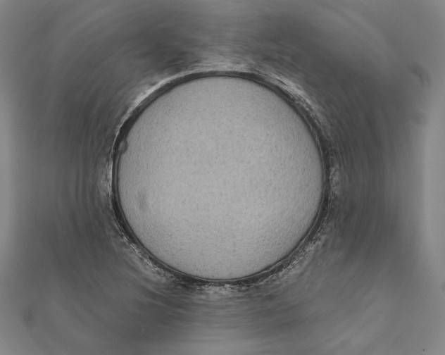 X0000112021220200908311148