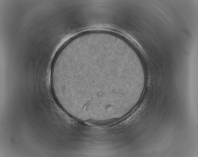 X0000112021224200908311148