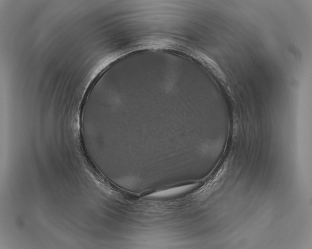 X0000112021226200908311148