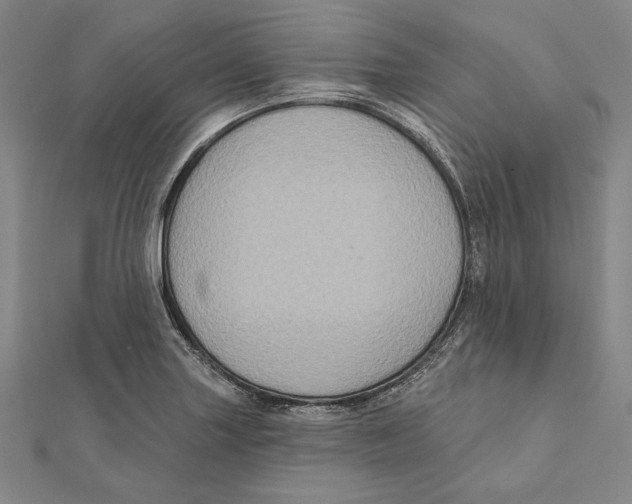 X0000112021227200908311148