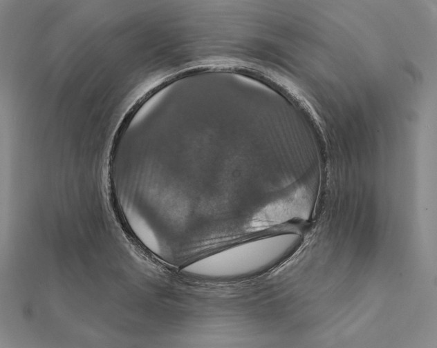 X0000112021229200908311148