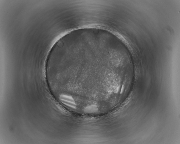 X0000112021230200908311148