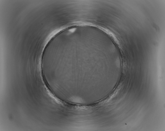 X0000112021231200908311148