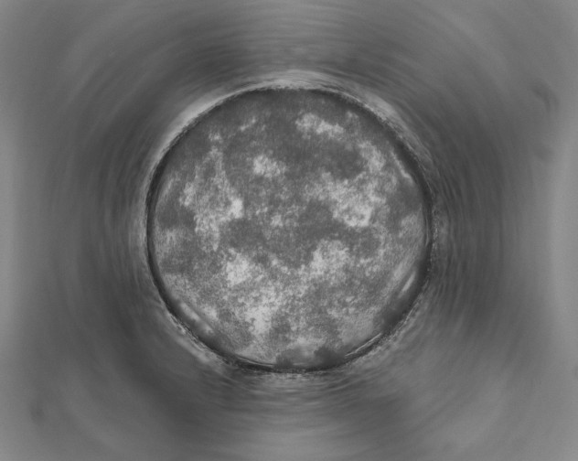 X0000112021232200908311148