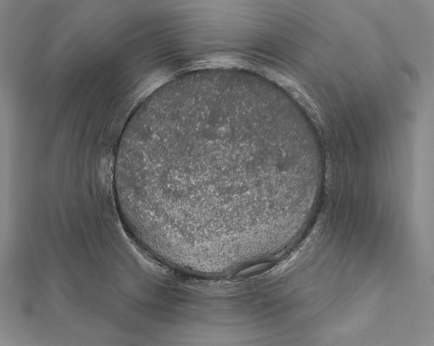 X0000112021233200908311148