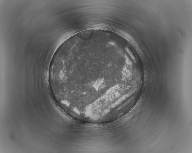 X0000112021234200908311148