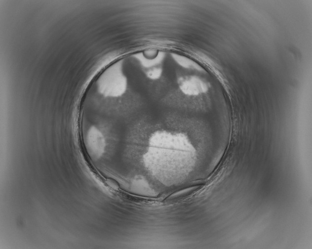 X0000112021235200908311148