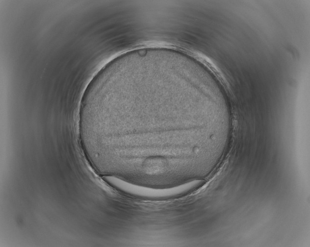 X0000112021236200908311148