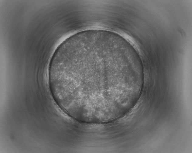 X0000112021238200908311148