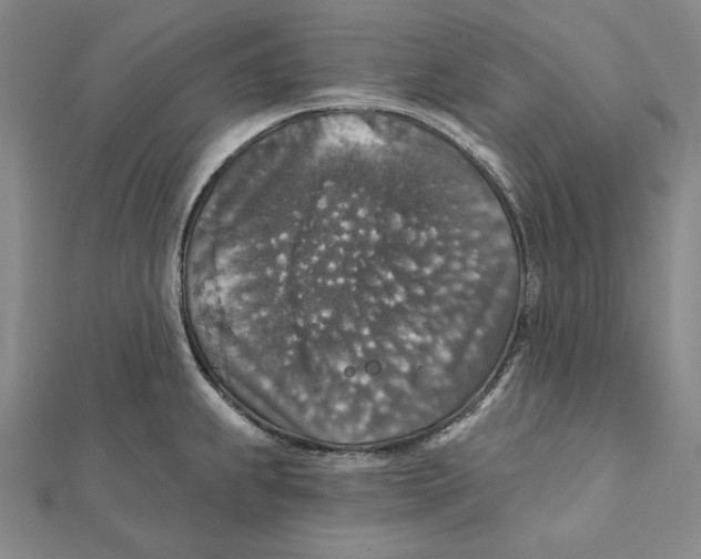 X0000112021239200908311148