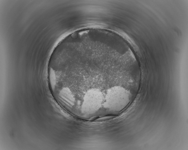 X0000112021240200908311148