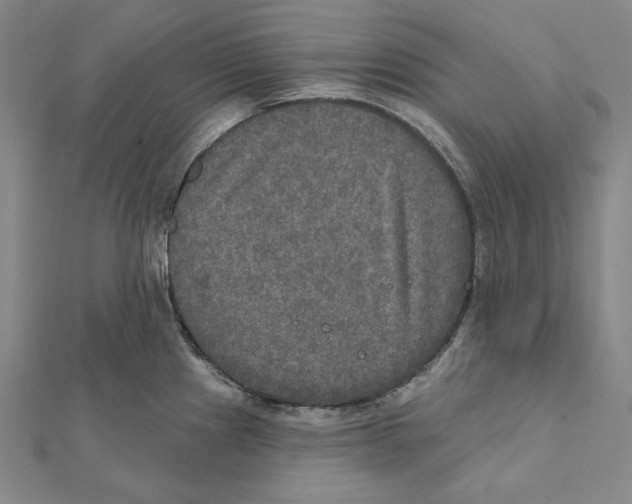 X0000112021241200908311148