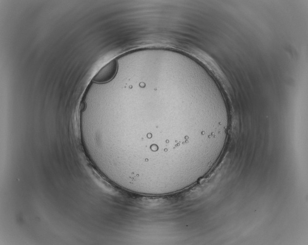 X0000112021242200908311148