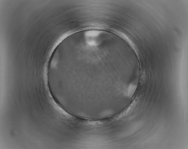 X0000112021243200908311148