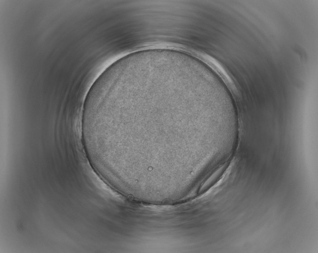 X0000112021244200908311148