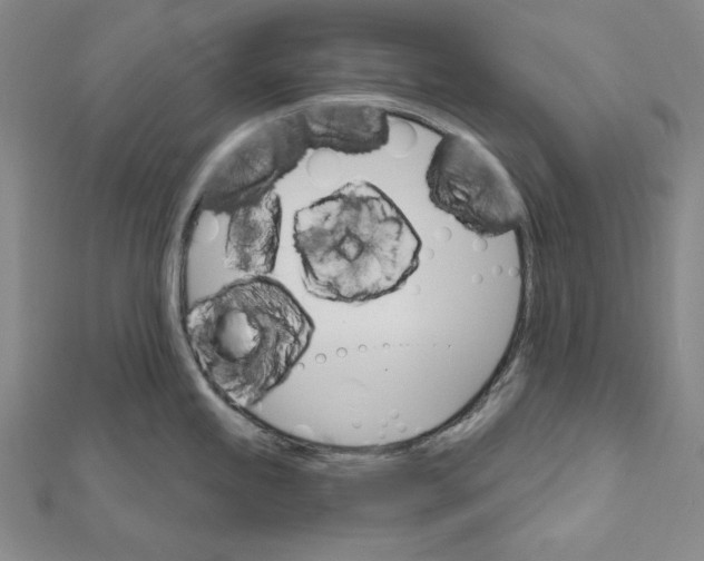 X0000112021245200908311148