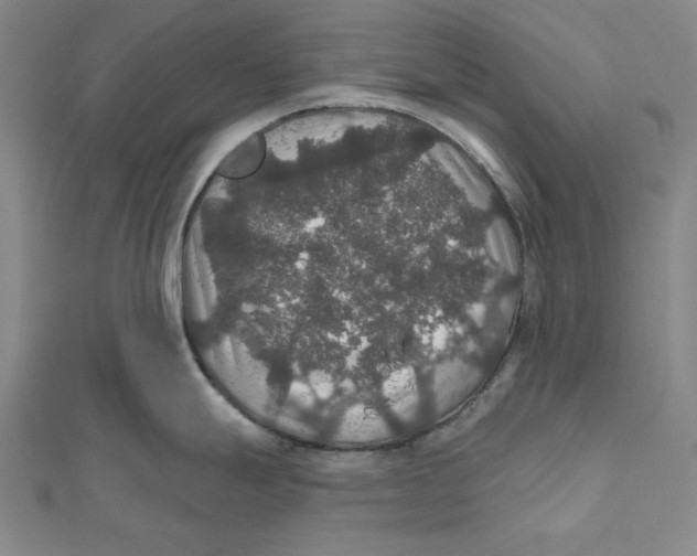 X0000112021247200908311148