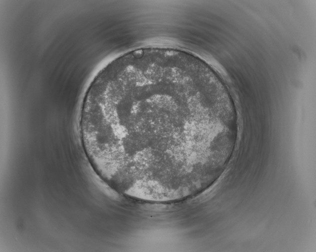 X0000112021248200908311148