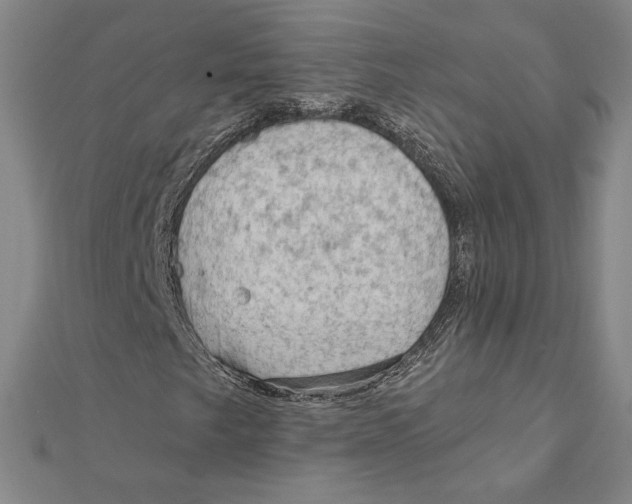 X0000112021249200908311147